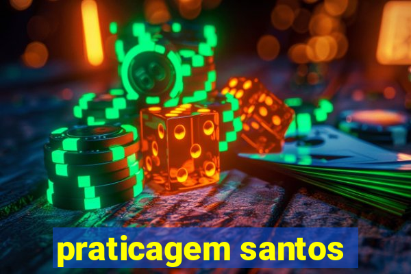 praticagem santos